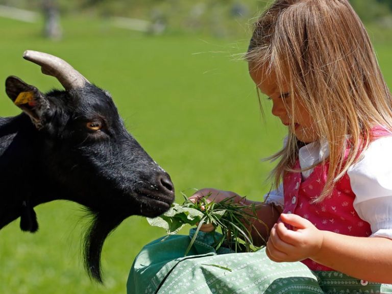 Hüttenurlaub mit Kinder