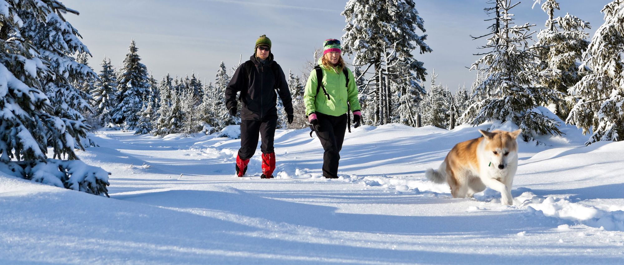 Winter- und Schneeschuhwandern rund um Pruggern