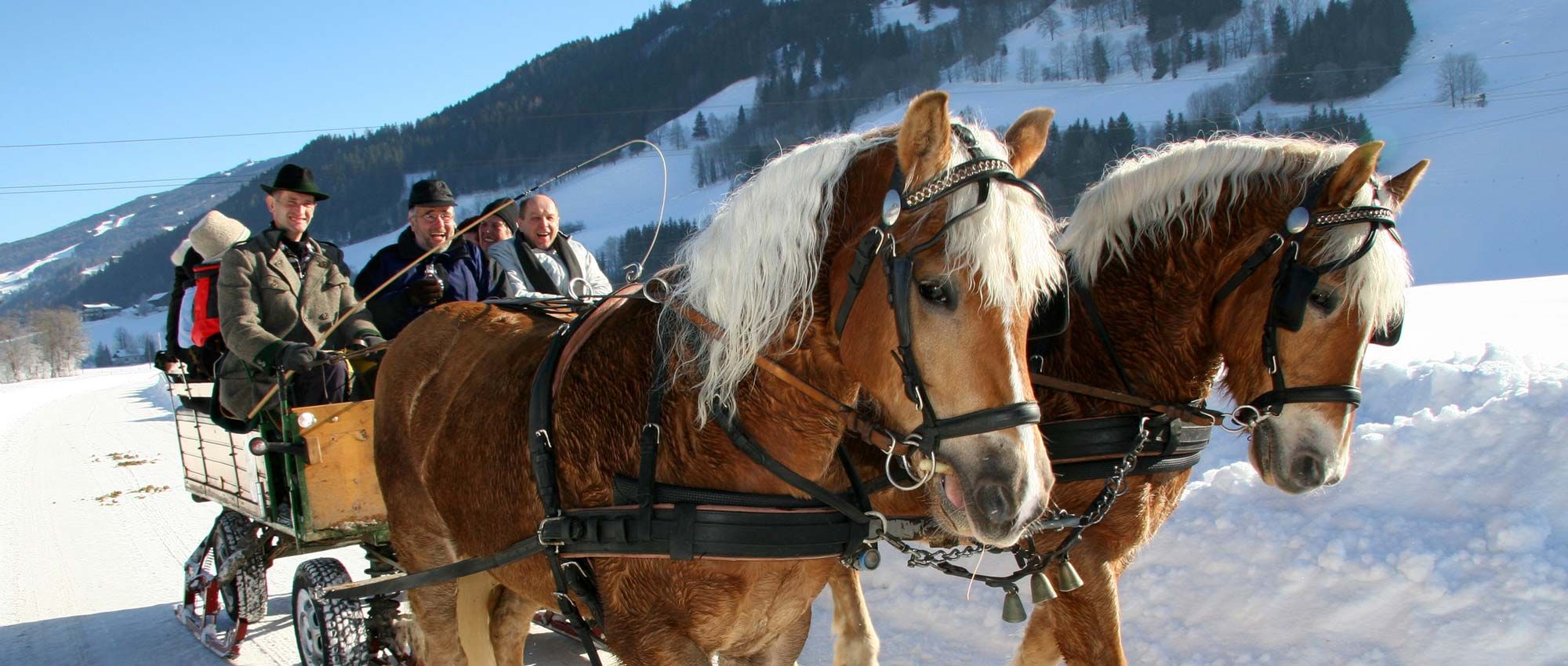 Im Pferdeschlitten durch die Winterwelt
