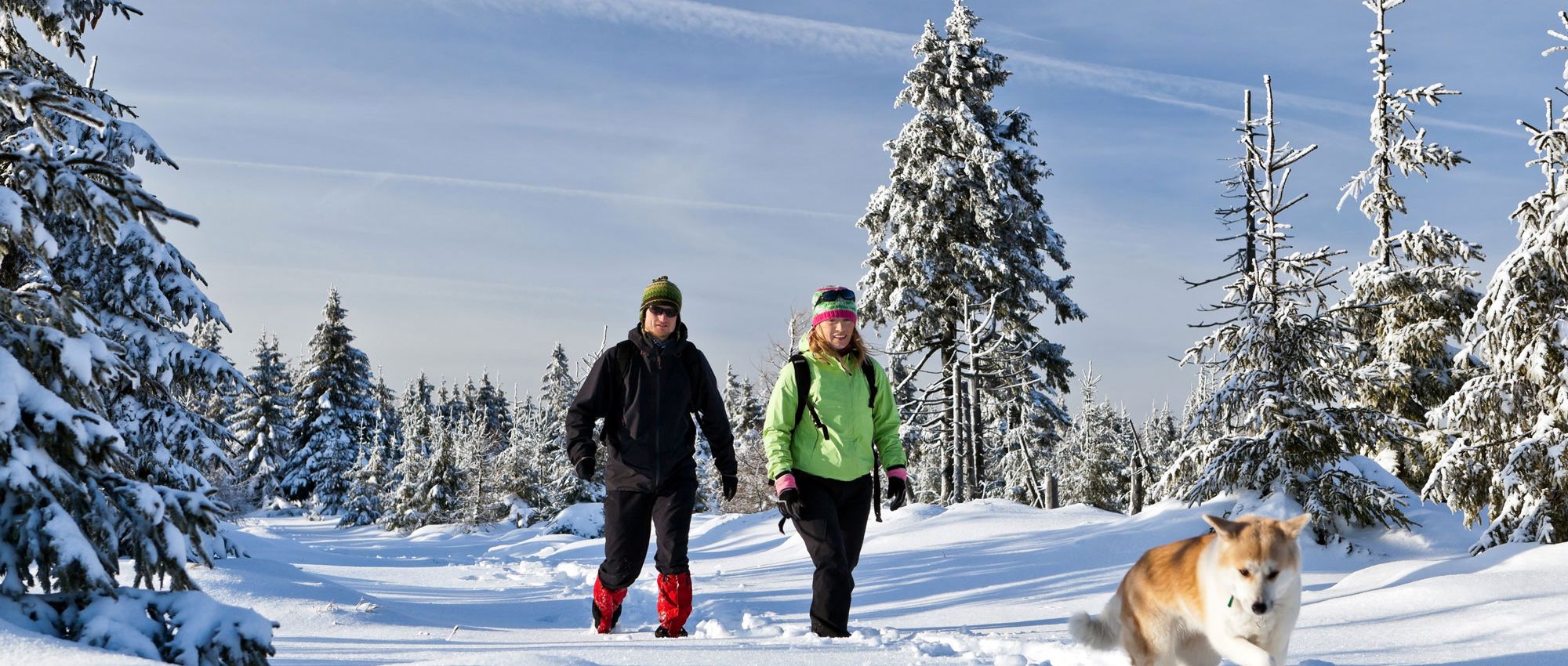 Wandern und Bergsteigen – was es zu beachten gilt